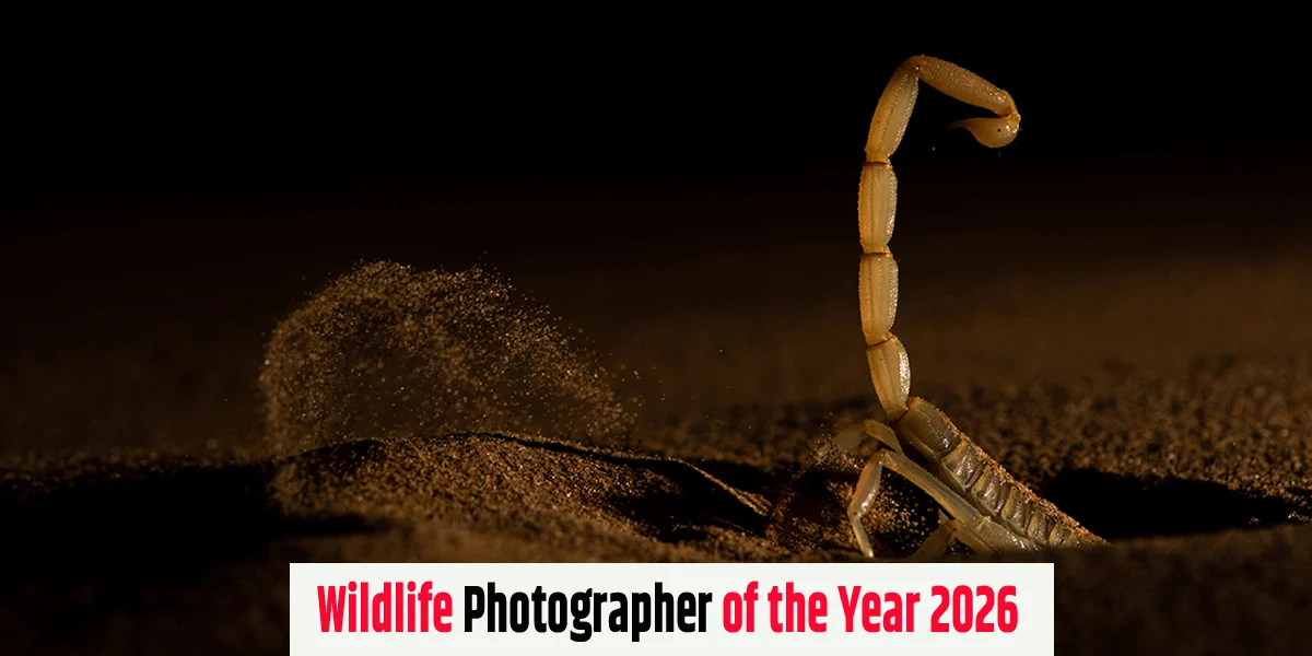 Wildlife Photographer of the Year 2026 - भारतीय फोटोग्राफर सीताराम राउल को मिला